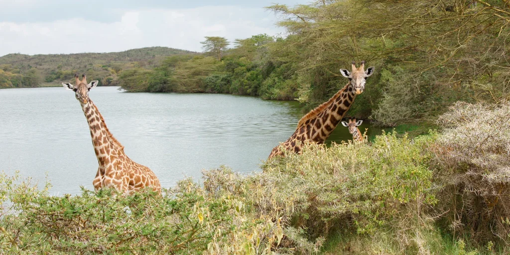 Arusha National Park