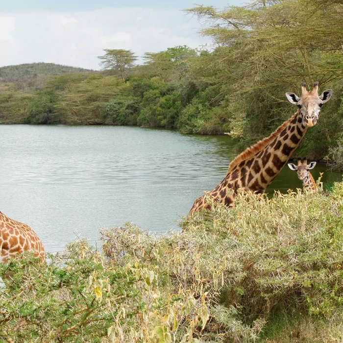 Arusha National Park