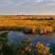 Moerasgebied in Selous Game Reserve