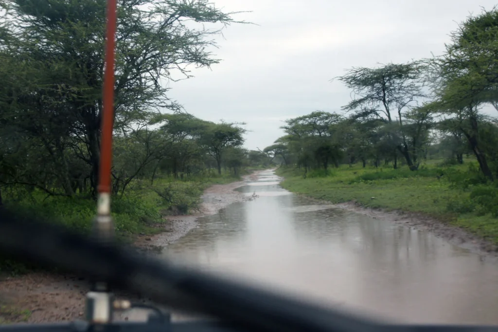 Regentijd Tanzania