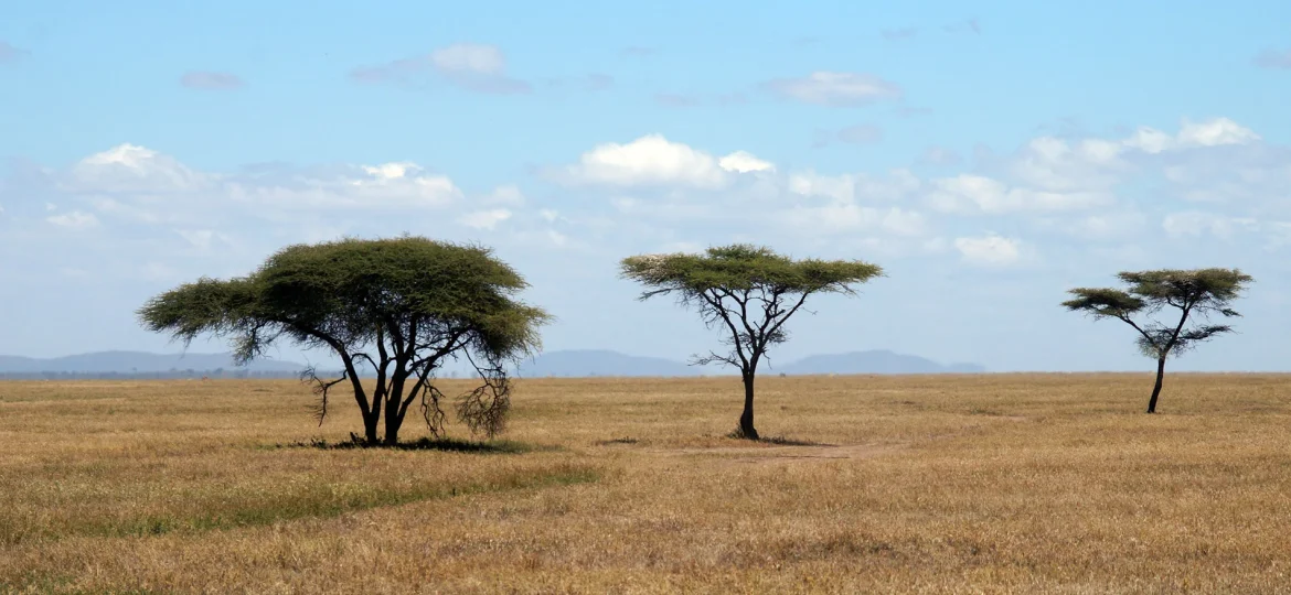 Klimaat Tanzania