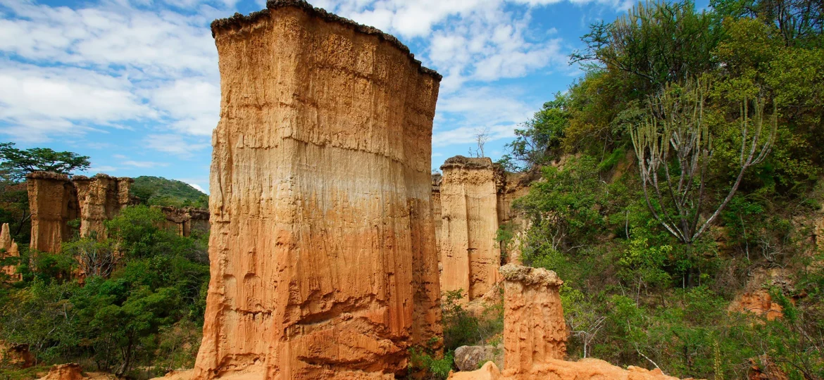 Mufindi Highlands