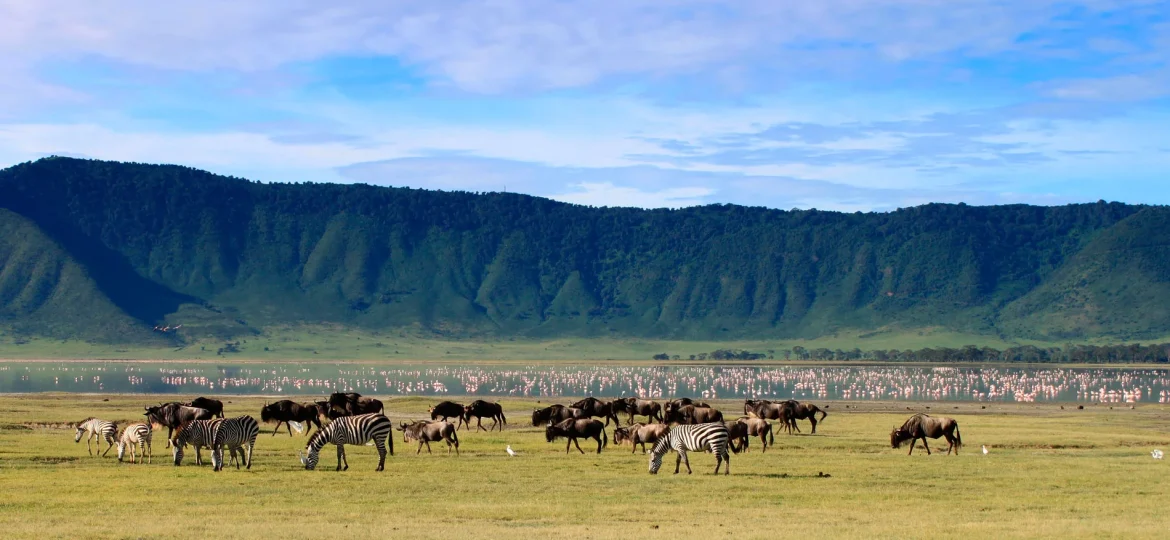 Ngorongoro Conservation Area