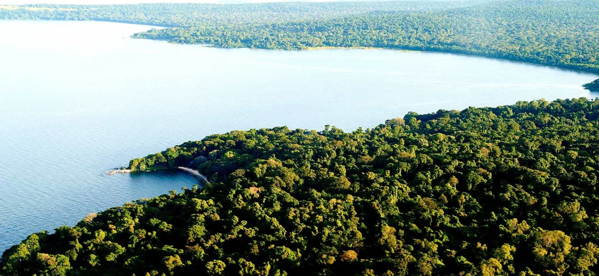 Rubondo Island National Park
