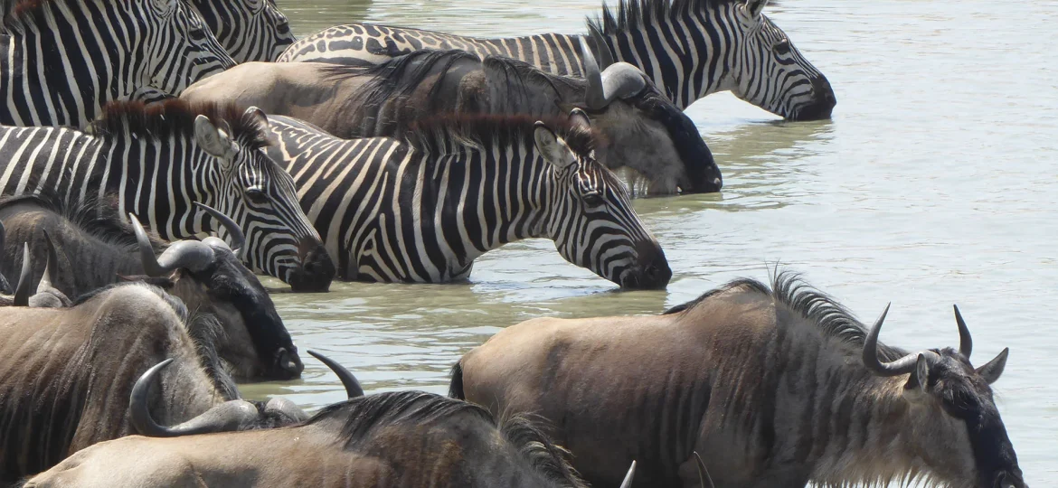 Voorbereiding reis naar Tanzania