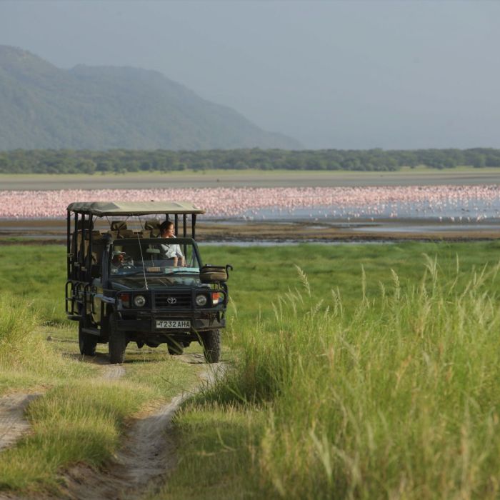 Ngorongoro Krater & Lake Manyara