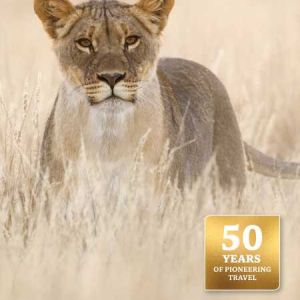 Natuurgids East African Wildlife | Bradt Travel Guides