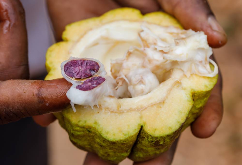 Zanzibar voor alle zintuigen Tanzania