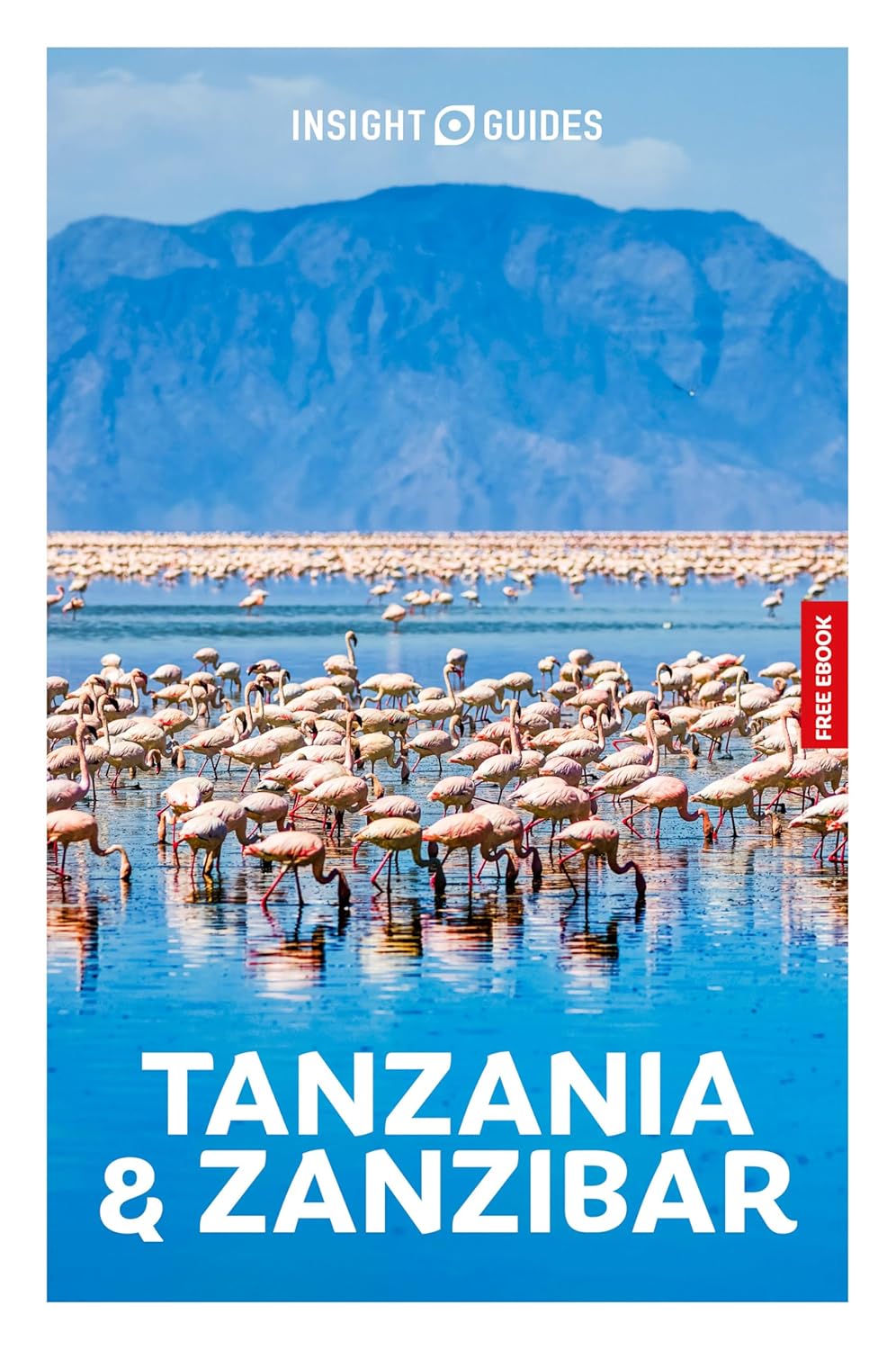 Reisgids Tanzania / Zanzibar | Insight Guides